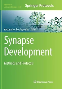 Synapse Development: Methods and Protocols