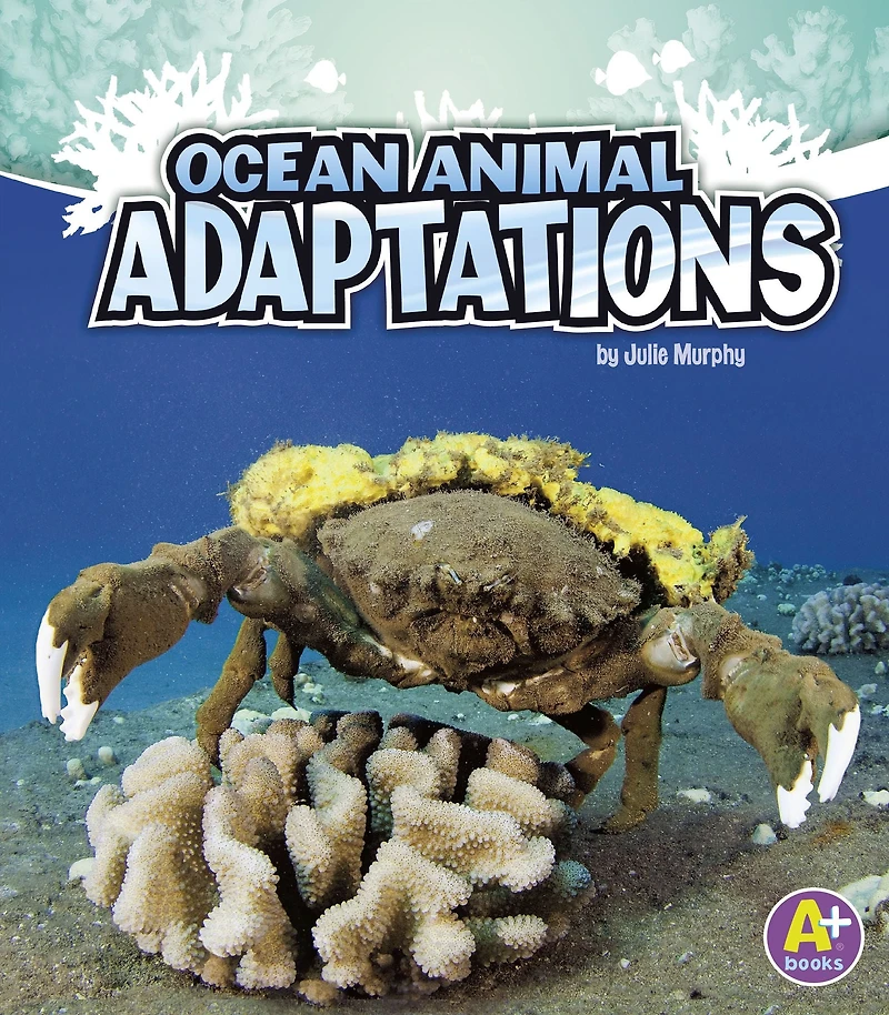 Ocean Animal Adaptations
