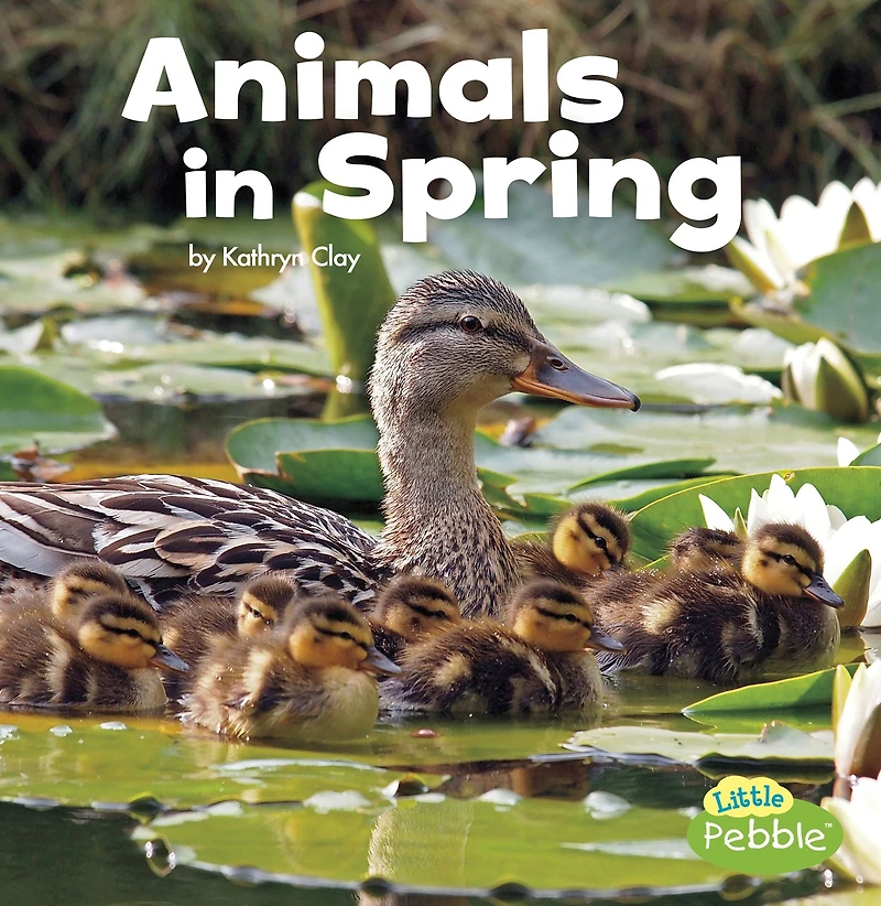 Animals Spring