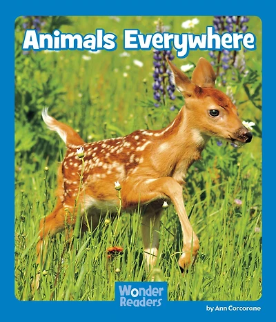 Animals Everywhere