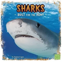 Sharks: Built for the Hunt