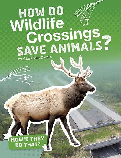 How Do Wildlife Crossings Save Animals?