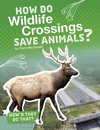 How Do Wildlife Crossings Save Animals?