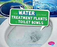 How Water Gets from Treatment Plants to Toilet Bowls