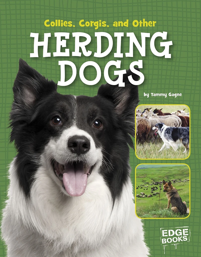 Collies, Corgies, and Other Herding Dogs