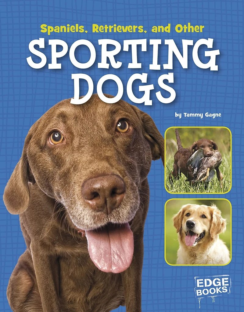 Spaniels, Retrievers, and Other Sporting Dogs