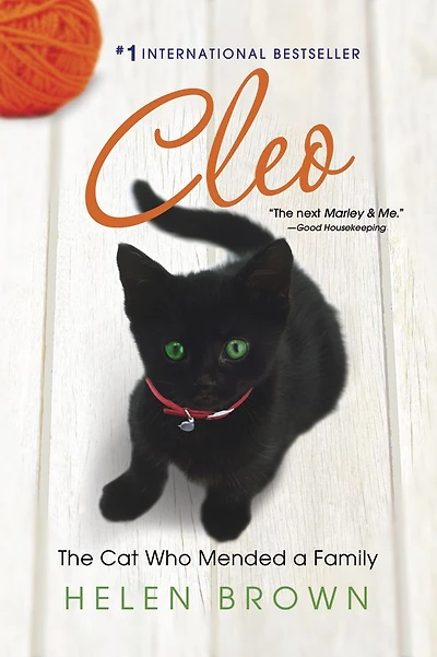 Cleo: The Cat Who Mended a Family