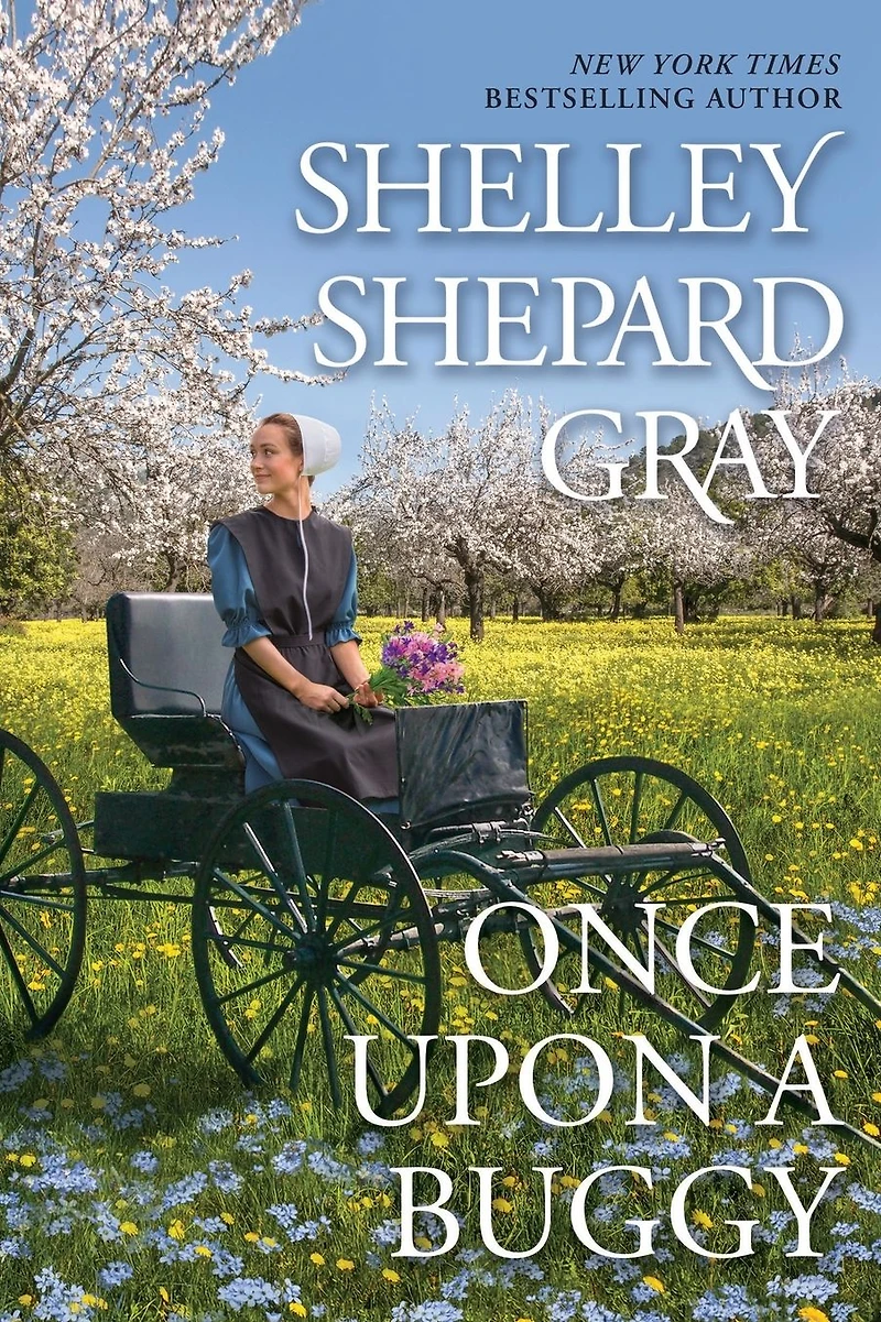 Once Upon a Buggy