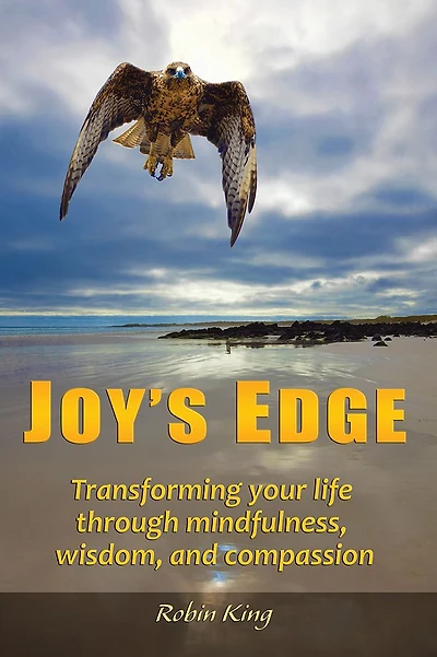 Joy's Edge: Transforming your life through mindfulness, wisdom, and compassion