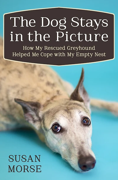 the Dog Stays Picture: How My Rescued Greyhound Helped Me Cope with Empty Nest