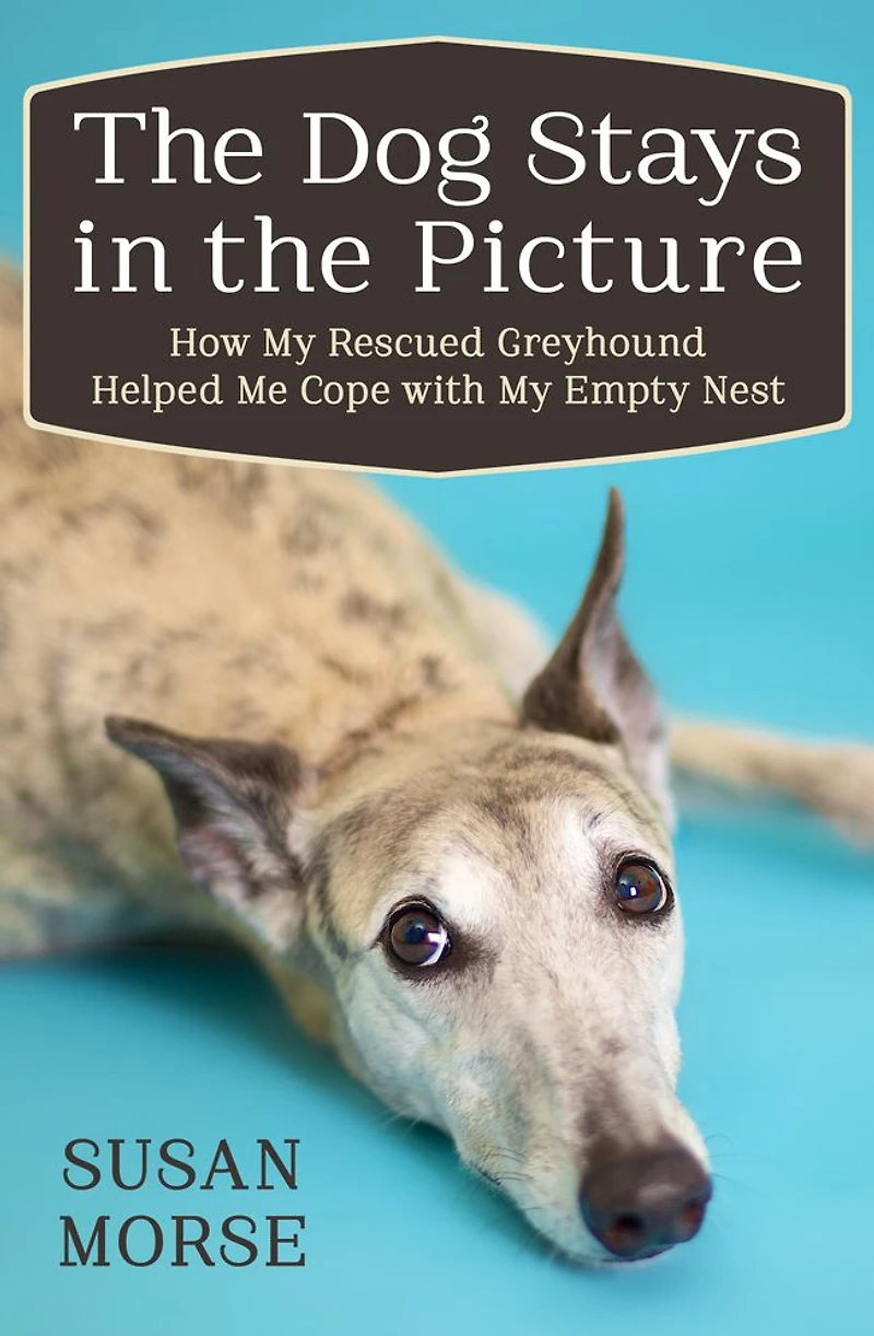 the Dog Stays Picture: How My Rescued Greyhound Helped Me Cope with Empty Nest