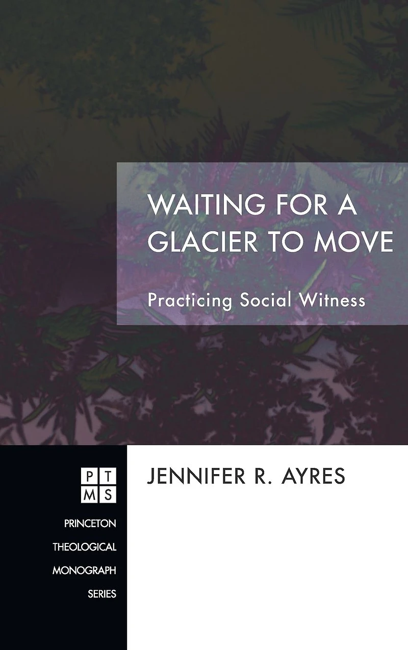 Waiting for a Glacier to Move: Practicing Social Witness