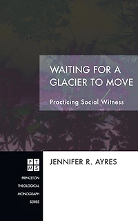 Waiting for a Glacier to Move: Practicing Social Witness