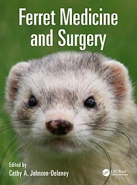 Ferret Medicine and Surgery