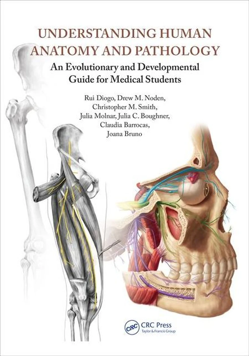 Understanding Human Anatomy and Pathology: An Evolutionary Developmental Guide for Medical Students