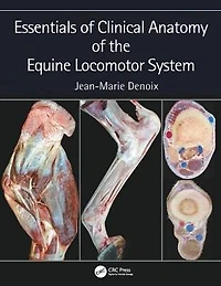 Essentials of Clinical Anatomy the Equine Locomotor System