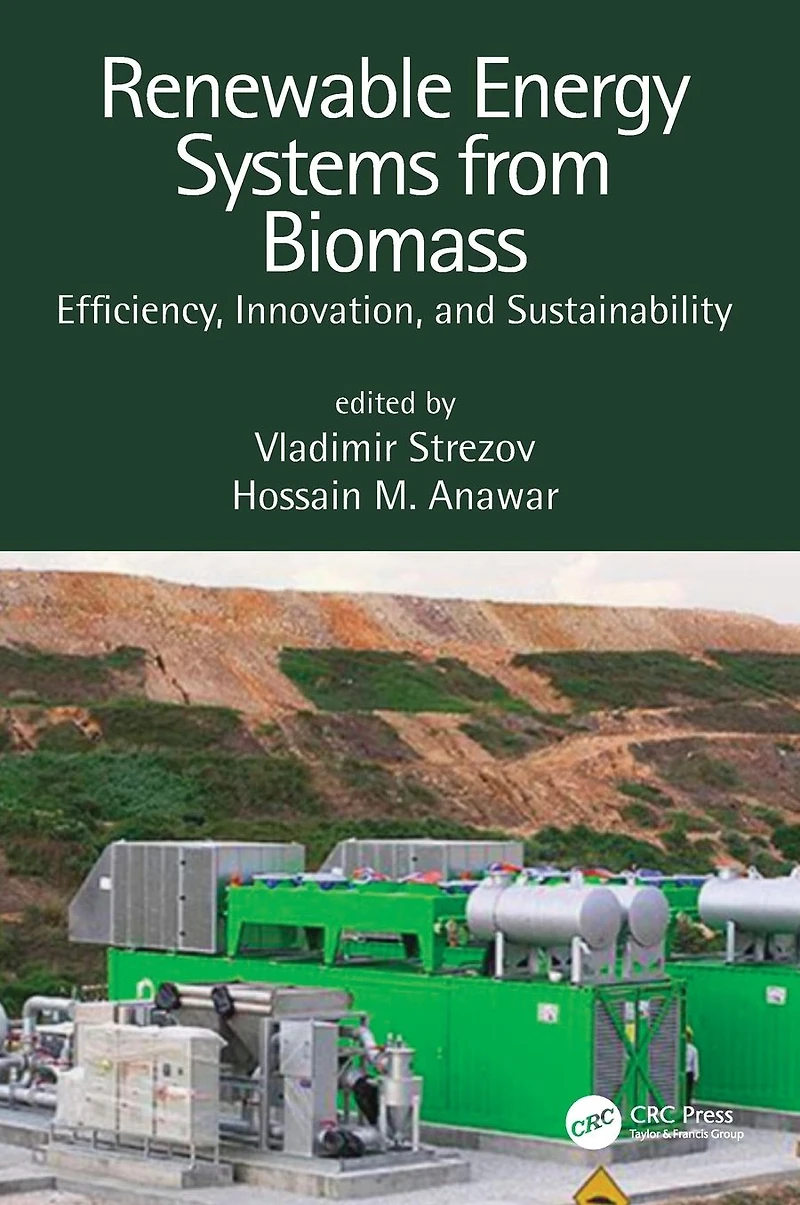 Renewable Energy Systems from Biomass: Efficiency, Innovation and Sustainability