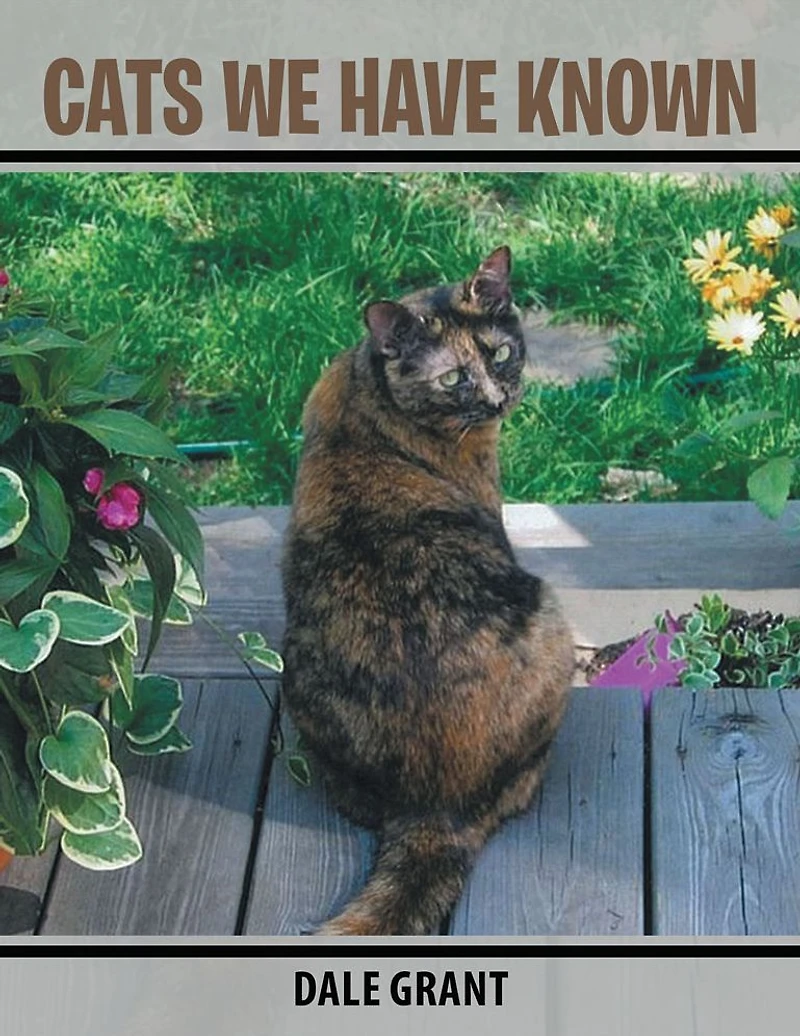 CATS WE HAVE KNOWN
