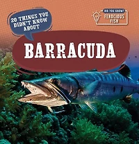20 Things You Didn't Know About Barracuda