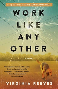 Work like Any Other: A Novel
