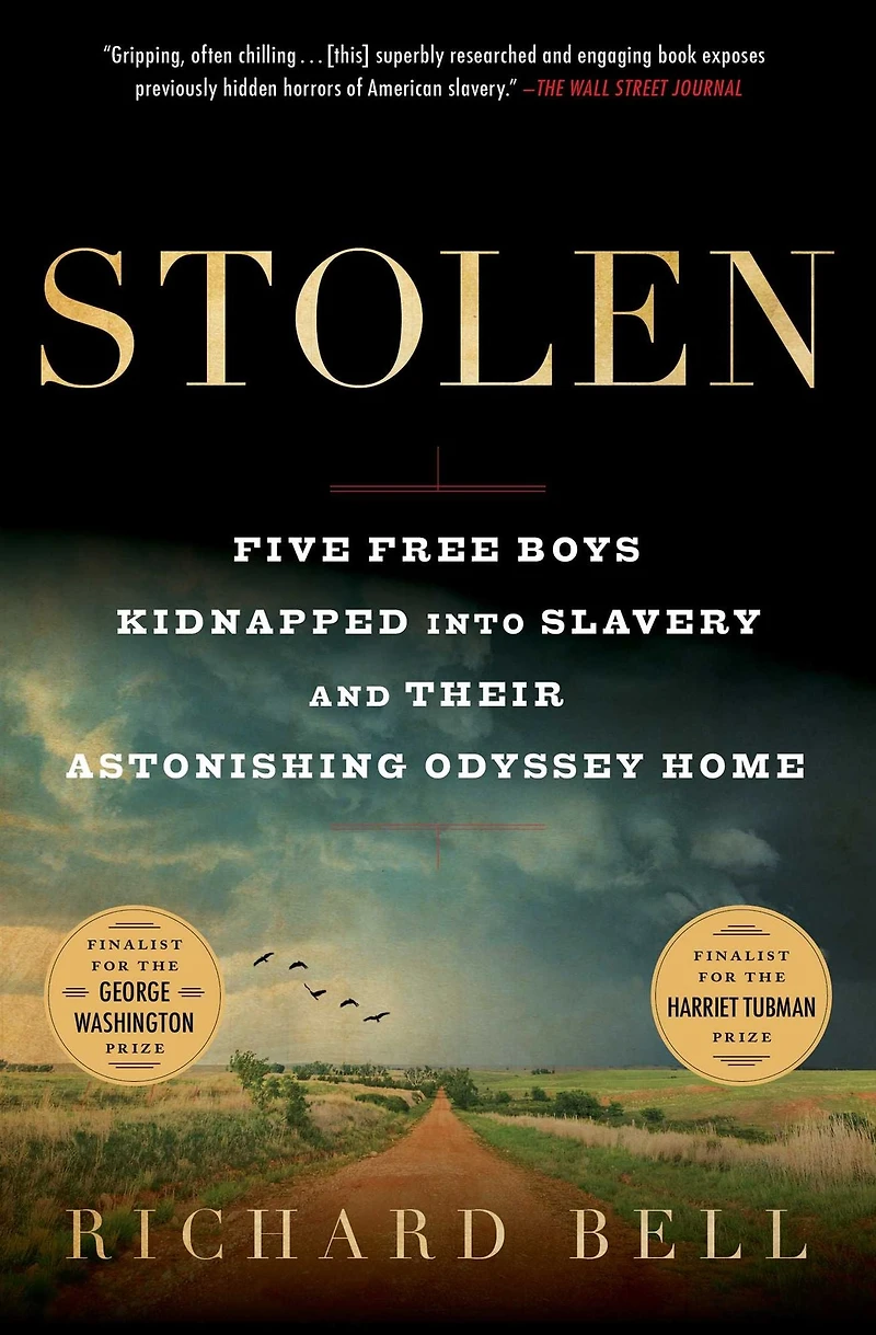 Stolen: Five Free Boys Kidnapped into Slavery and Their Astonishing Odyssey Home