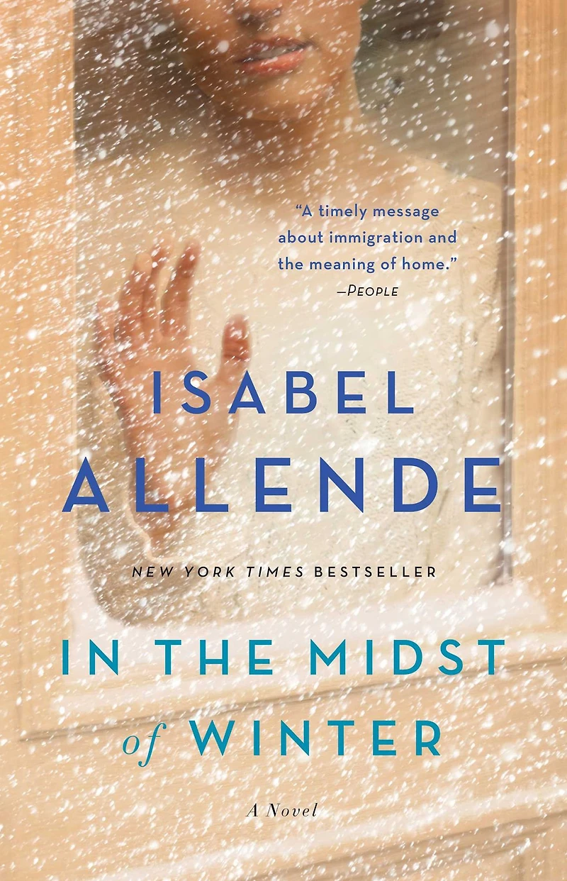 the Midst of Winter: A Novel