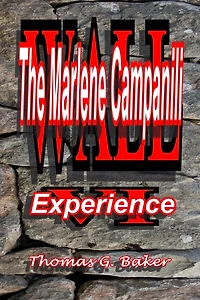 Wall VI The Marlene Campanili Experience