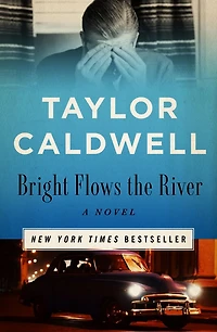 Bright Flows the River: A Novel