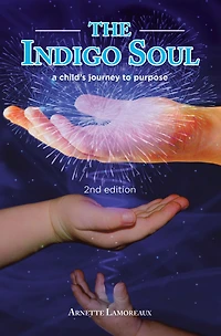 The Indigo Soul: a child's journey to purpose