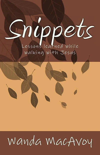 Snippets: Lessons Learned from a Walk with Jesus