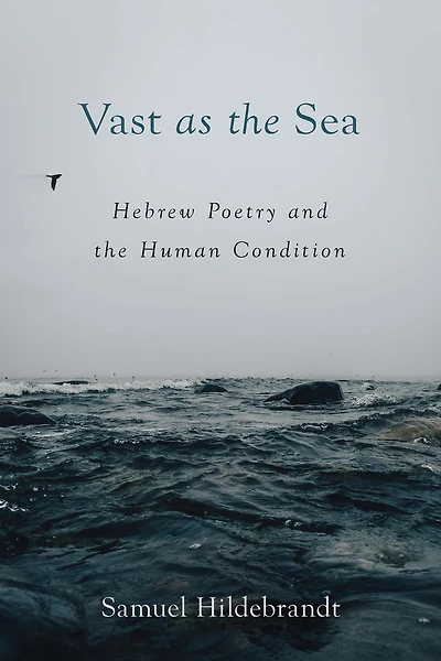 Vast as the Sea: Hebrew Poetry and Human Condition