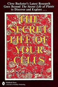 The Secret Life of Your Cells