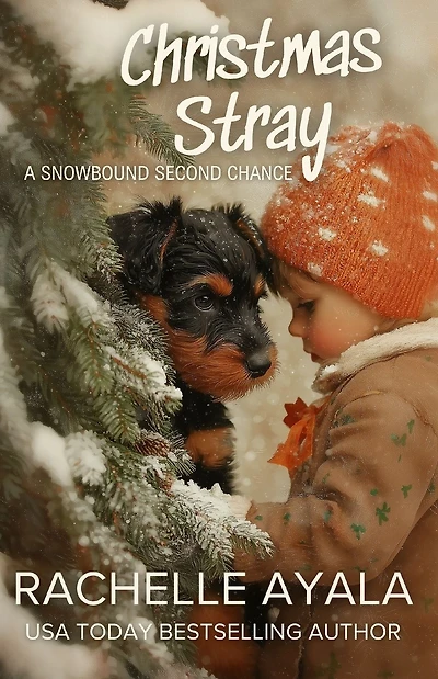 Christmas Stray