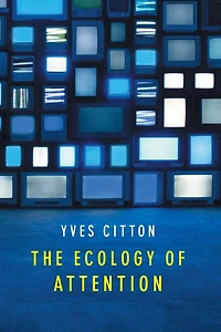 The Ecology of Attention