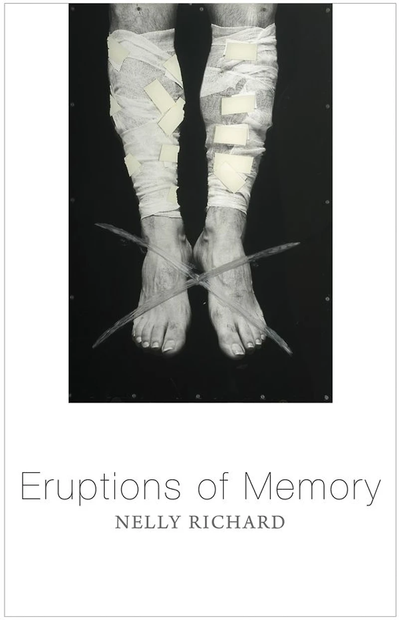 Eruptions of Memory: The Critique Memory Chile, 1990-2015