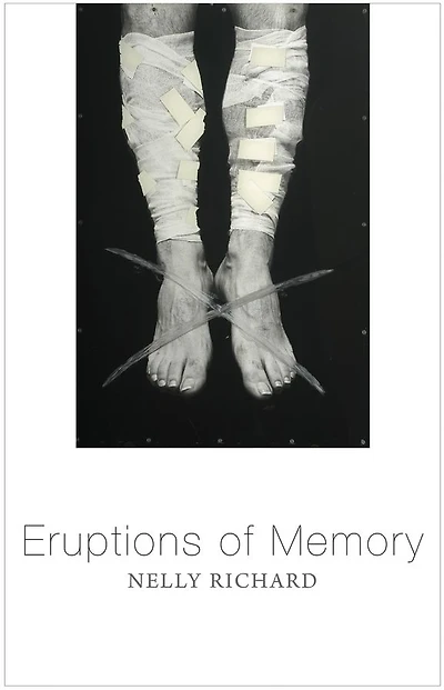 Eruptions of Memory: The Critique Memory Chile, 1990-2015