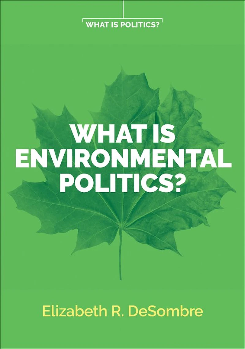 What is Environmental Politics