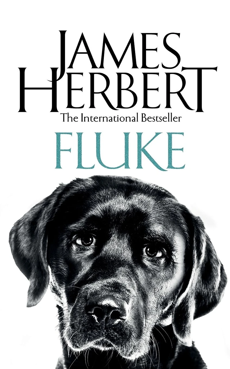 Fluke (Abridged)