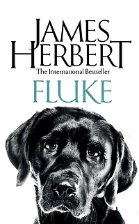 Fluke (Abridged)