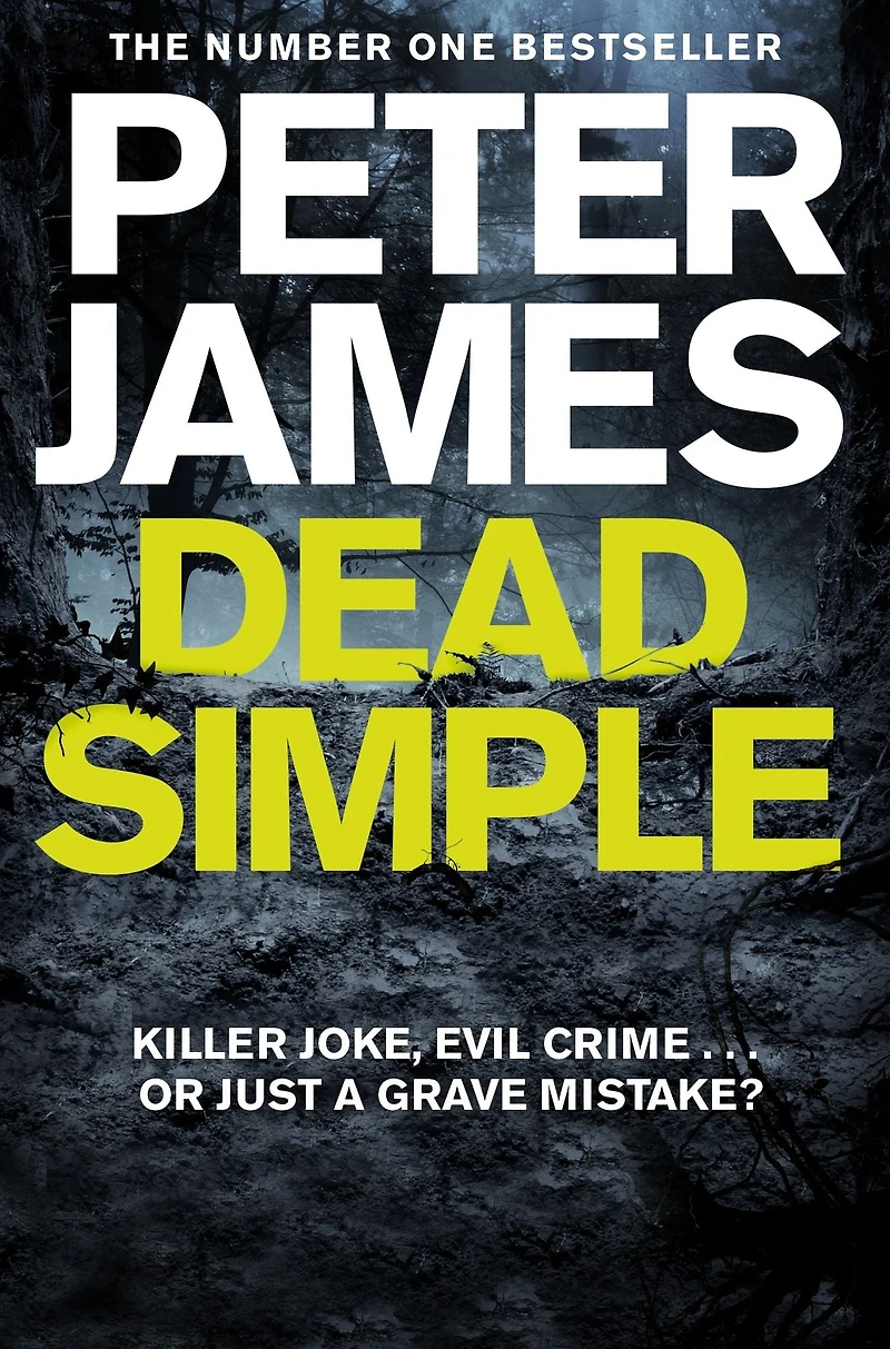 Dead Simple (Roy Grace Series #1)