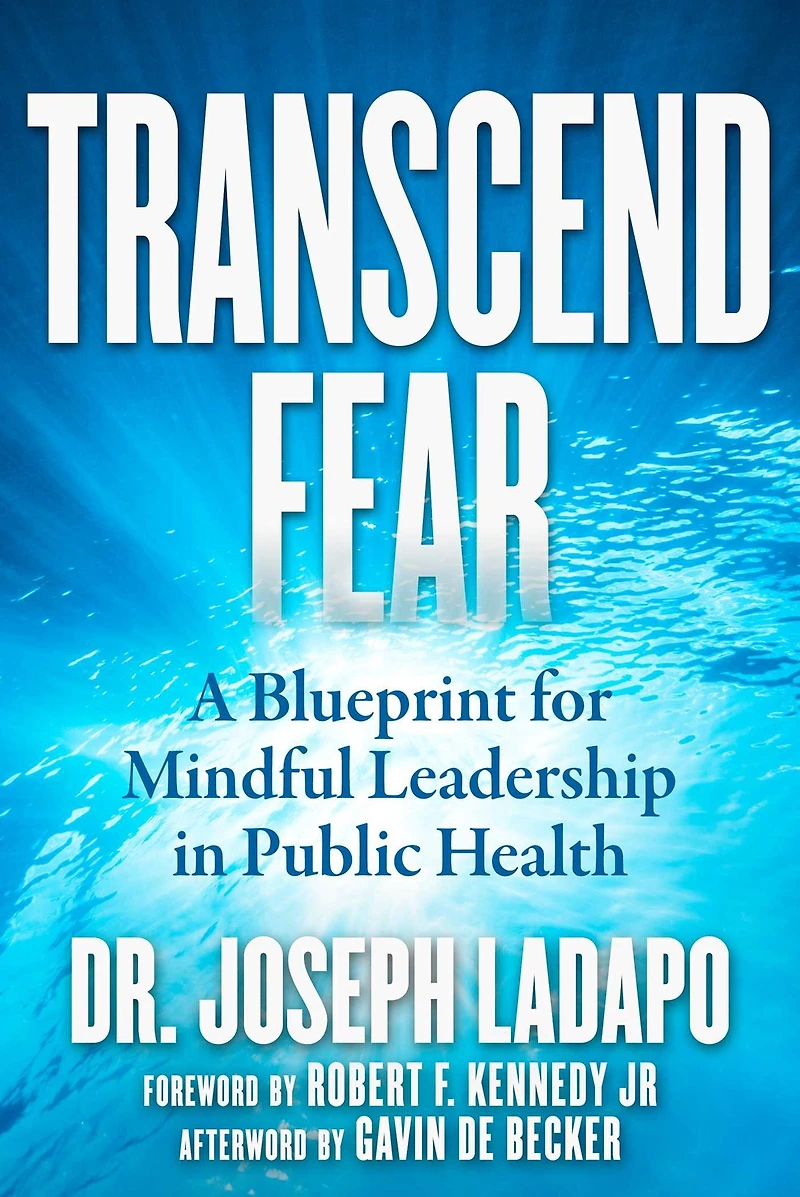 Transcend Fear: A Blueprint for Mindful Leadership Public Health