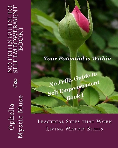 No-Frills Guide to Self Empowerment Book I: Practical Steps that Work Living Matrix Series