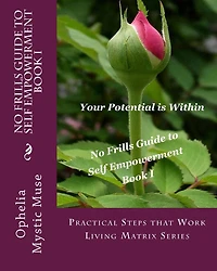 No-Frills Guide to Self Empowerment Book I: Practical Steps that Work Living Matrix Series