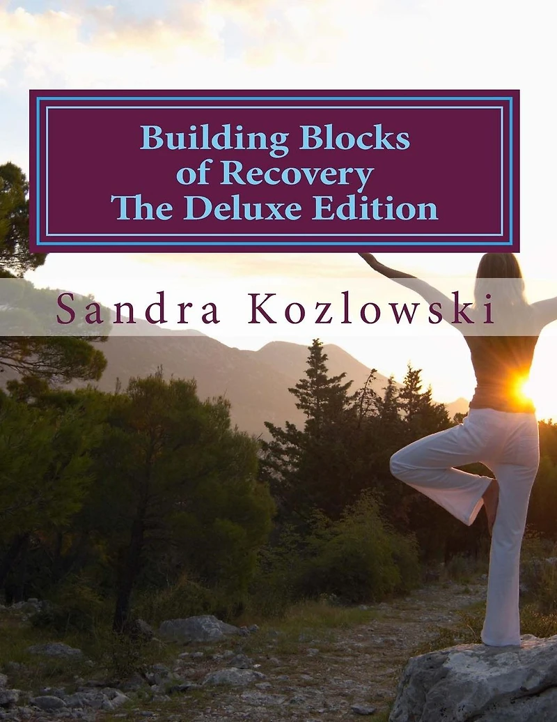 Building Blocks of Recovery The Deluxe Edition