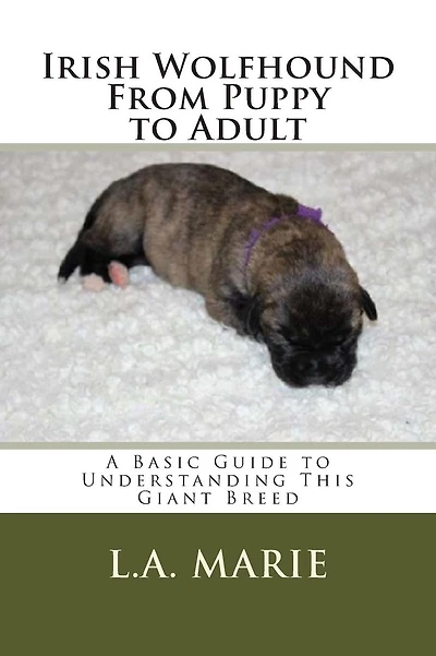 Irish Wolfhound From Puppy to Adult: A Basic Guide to Understanding This Giant Breed