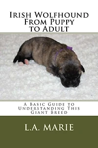 Irish Wolfhound From Puppy to Adult: A Basic Guide to Understanding This Giant Breed