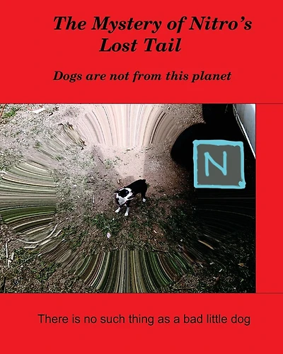 The Mystery of Nitro's Lost Tail: There is no such thing as a bad little dog
