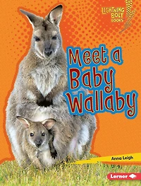 Meet a Baby Wallaby