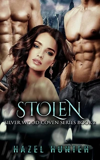 Stolen (Book Two of the Silver Wood Coven Series): A Witch and Warlock Romance Novel