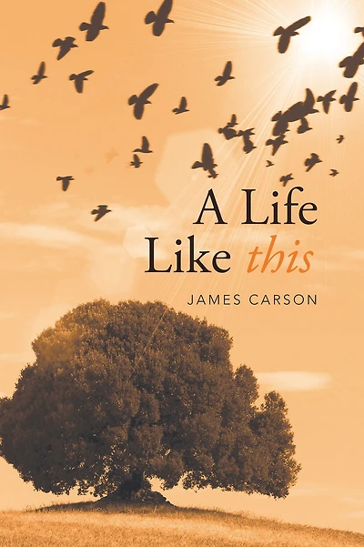 A Life Like This